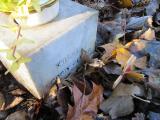image of grave number 352141